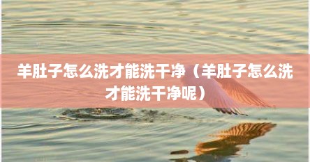 羊肚子怎么洗才能洗干净（羊肚子怎么洗才能洗干净呢）