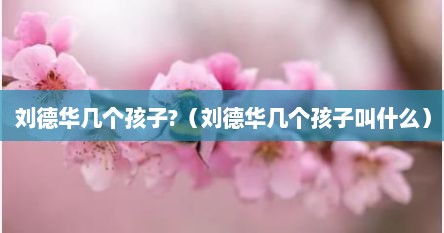 刘德华几个孩子?（刘德华几个孩子叫什么）