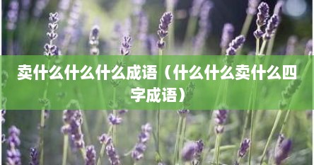 卖什么什么什么成语（什么什么卖什么四字成语）