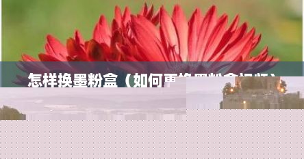 怎样换墨粉盒（如何更换墨粉盒视频）