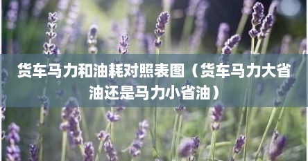 货车马力和油耗对照表图（货车马力大省油还是马力小省油）