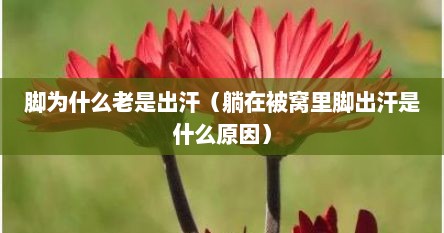 脚为什么老是出汗（躺在被窝里脚出汗是什么原因）