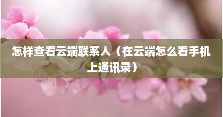 怎样查看云端联系人（在云端怎么看手机上通讯录）