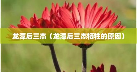 龙潭后三杰（龙潭后三杰牺牲的原因）