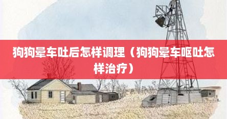 狗狗晕车吐后怎样调理（狗狗晕车呕吐怎样治疗）