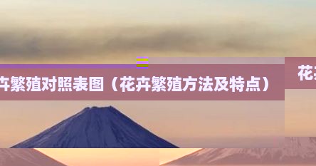花卉繁殖对照表图（花卉繁殖方法及特点）