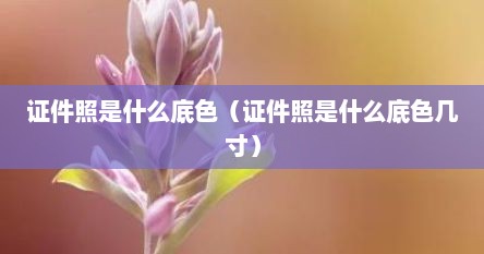 证件照是什么底色（证件照是什么底色几寸）