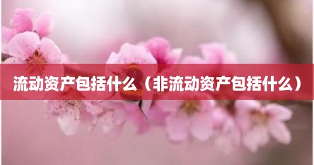 流动资产包括什么（非流动资产包括什么）