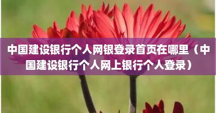 中国建设银行个人网银登录首页在哪里（中国建设银行个人网上银行个人登录）