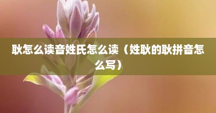 耿怎么读音姓氏怎么读（姓耿的耿拼音怎么写）