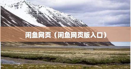 闲鱼网页（闲鱼网页版入口）