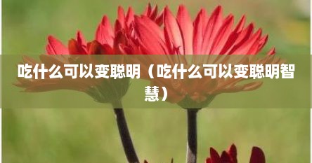 吃什么可以变聪明（吃什么可以变聪明智慧）