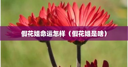 假花姐命运怎样（假花姐是啥）
