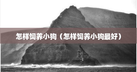 怎样饲养小狗（怎样饲养小狗最好）