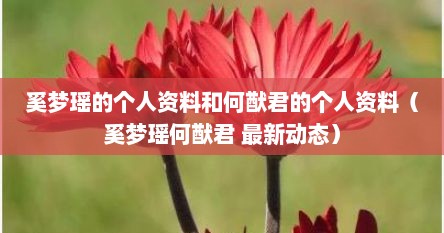 奚梦瑶的个人资料和何猷君的个人资料（奚梦瑶何猷君 最新动态）