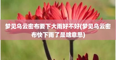 梦见乌云密布要下大雨好不好(梦见乌云密布快下雨了是啥意思)