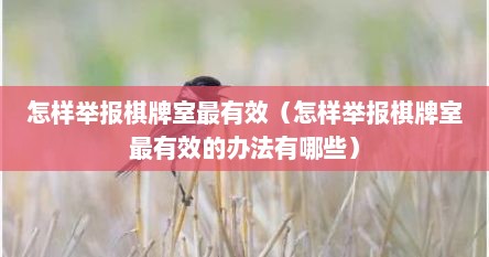 怎样举报棋牌室最有效（怎样举报棋牌室最有效的办法有哪些）