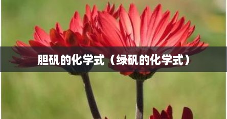胆矾的化学式（绿矾的化学式）