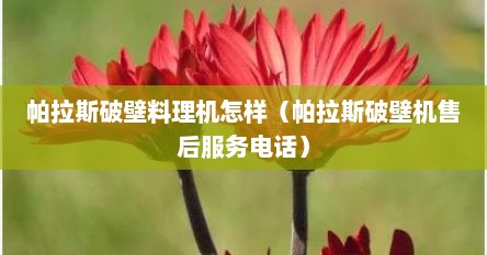 帕拉斯破壁料理机怎样（帕拉斯破壁机售后服务电话）