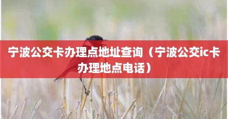 宁波公交卡办理点地址查询（宁波公交ic卡办理地点电话）
