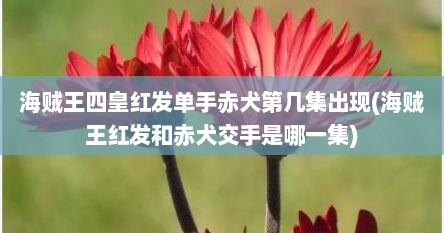 海贼王四皇红发单手赤犬第几集出现(海贼王红发和赤犬交手是哪一集)