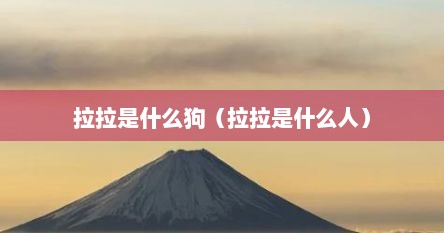 拉拉是什么狗（拉拉是什么人）