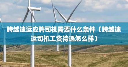 跨越速运应聘司机需要什么条件（跨越速运司机工资待遇怎么样）