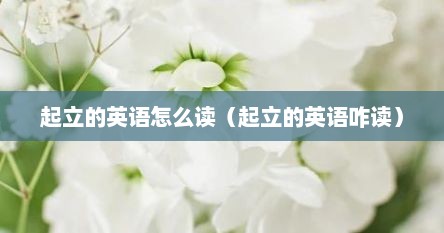 起立的英语怎么读（起立的英语咋读）