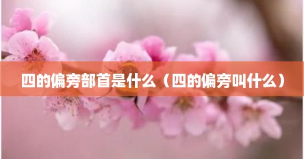 四的偏旁部首是什么（四的偏旁叫什么）
