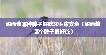 甜面酱哪种牌子好吃又健康安全（甜面酱哪个牌子最好吃）