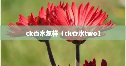 ck香水怎样（ck香水two）