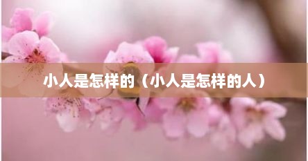 小人是什么样的特点（小人是一种什么样的人）