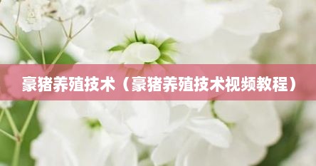 豪猪养殖技术（豪猪养殖技术视频教程）