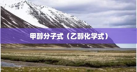 甲醇乙醇化学分子式（甲醇化学式中碳的化合价）