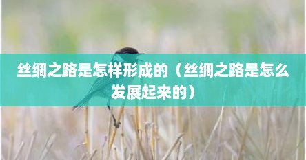 丝绸之路是怎样形成的（丝绸之路是怎么发展起来的）