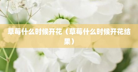 草莓什么时候开花(草莓什么时候开花结果) 草莓什么时候开花(草莓什么时候开花结果)