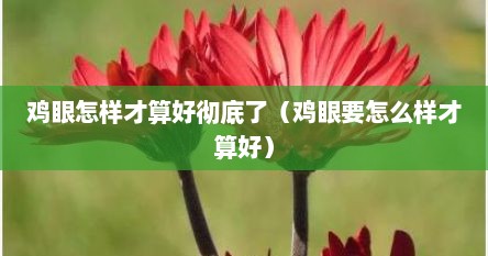 鸡眼怎样才算好彻底了（鸡眼要怎么样才算好）