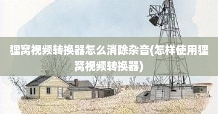 狸窝视频转换器怎么消除杂音(怎样使用狸窝视频转换器)