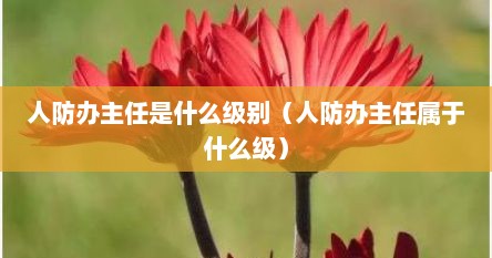 人防办主任是什么级别（人防办主任属于什么级）