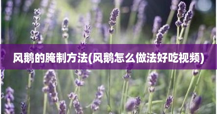 风鹅的腌制方法(风鹅怎么做法好吃视频)