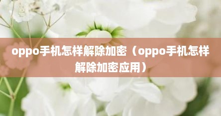 oppo手机怎样解除加密（oppo手机怎样解除加密应用）