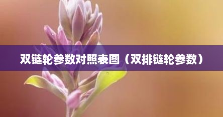 双链轮参数对照表图（双排链轮参数）