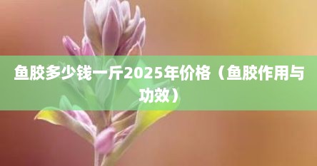 鱼胶多少钱一斤2025年价格（鱼胶作用与功效）