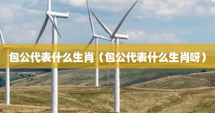 包公代表什么生肖（包公代表什么生肖呀）