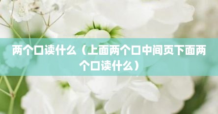 两个口读什么（上面两个口中间页下面两个口读什么）
