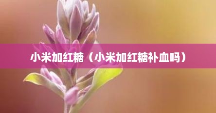 小米加红糖（小米加红糖补血吗）
