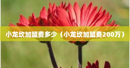 小龙坎加盟费多少（小龙坎加盟费200万）
