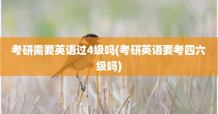 考研需要英语过4级吗(考研英语要考四六级吗)
