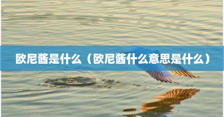 欧尼酱是什么（欧尼酱什么意思是什么）