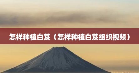 怎样种植白芨（怎样种植白芨组织视频）